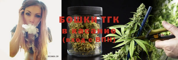 PSILOCYBIN Богданович