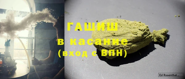 PSILOCYBIN Богданович