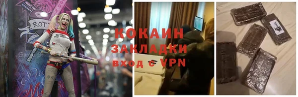 прущие грибы Богородск