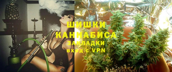 PSILOCYBIN Богданович