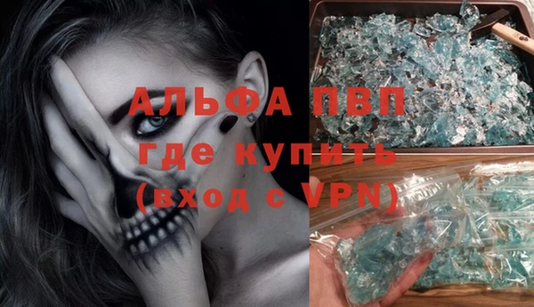трава Аркадак