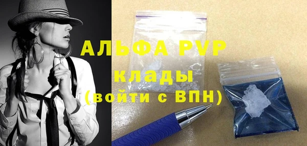 PSILOCYBIN Богданович