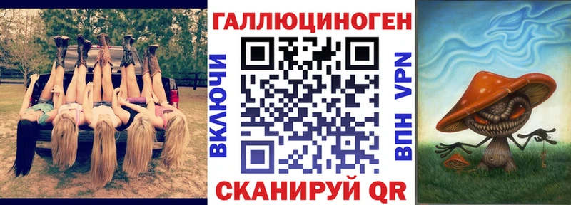 цены наркотик  Гудермес  Псилоцибиновые грибы GOLDEN TEACHER 