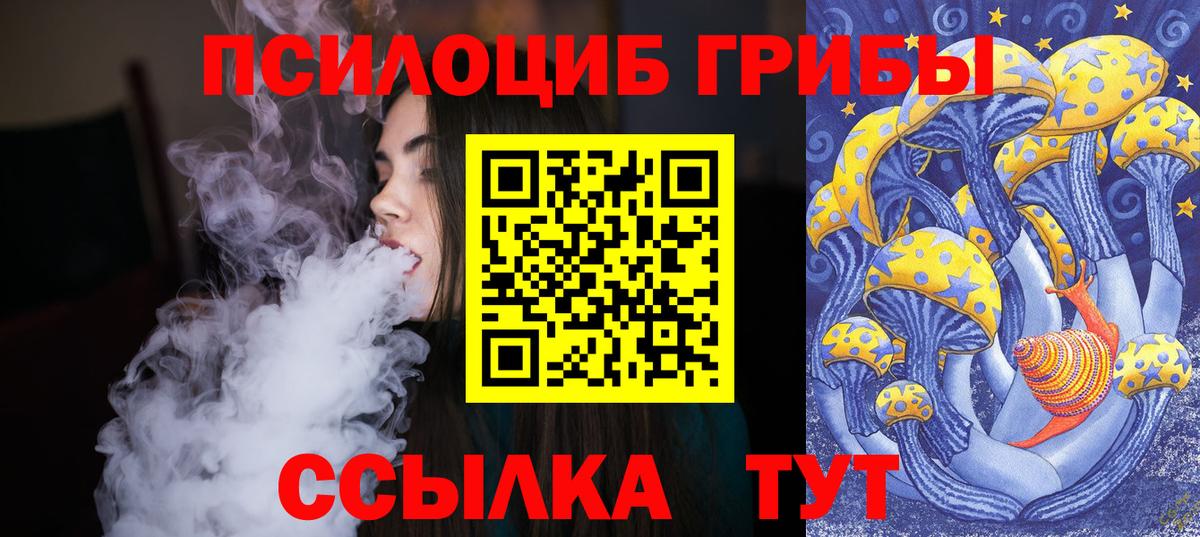 Псилоцибиновые грибы Magic Shrooms  Гудермес 