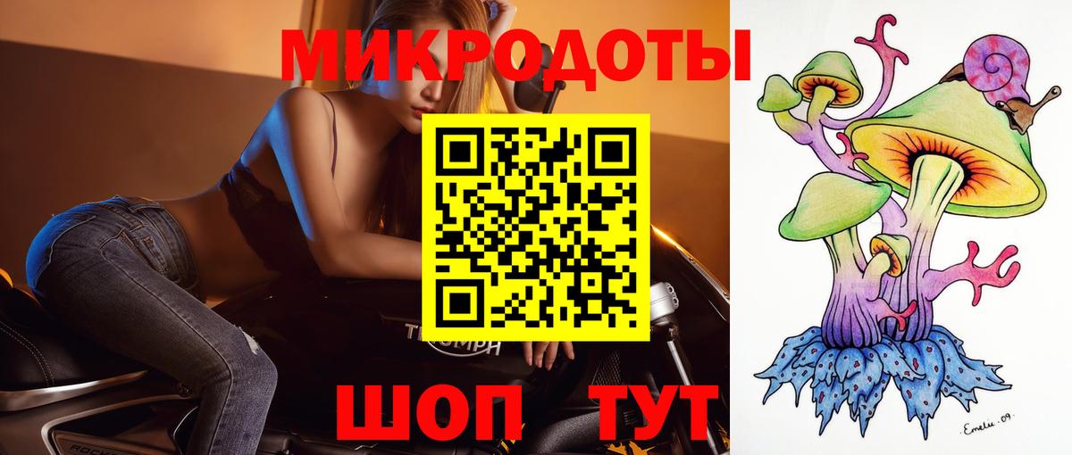 Гудермес  где купить наркоту  Вход с VPN  Галлюциногенные грибы прущие грибы  Псилоцибиновые грибы Psilocybine cubensis 