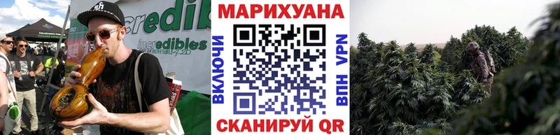 Бошки Шишки Amnesia  Гудермес 